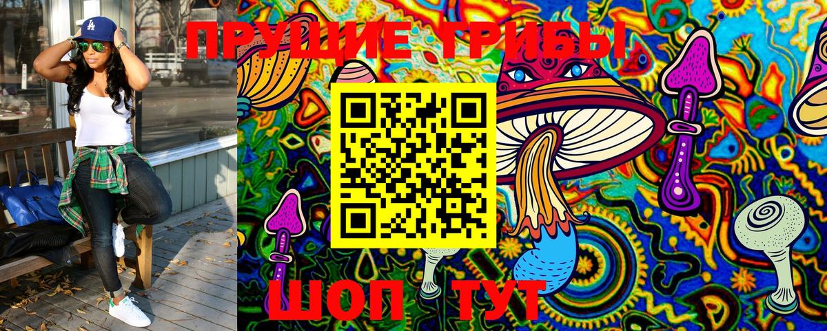 Псилоцибиновые грибы Psilocybe  Вход с VPN  Химки  Псилоцибиновые грибы ЛСД 